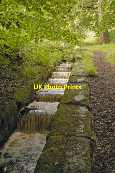 Photo 6"x4" Salmon Ladder Abbeystead c2007
