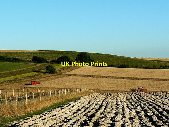 Photo 6"x4" Farmland and harvesting, south of Easton Royal Easton Royal c2007
