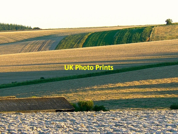 Photo 6"x4" Farmland, south of Easton Royal Easton Royal c2007