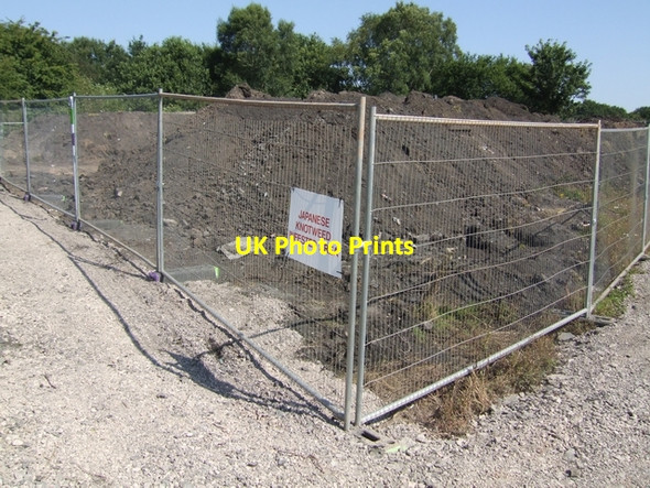 Photo 6"x4" Japanese Knotweed infested area Brownhills\/SK0405 c2007