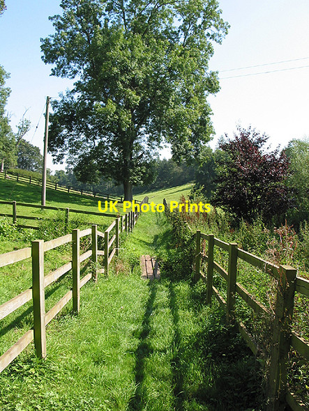 Photo 6"x4" The tempting footpath Upper Grove Common c2007