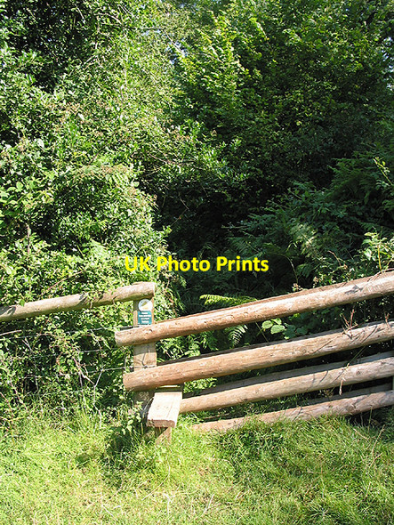 Photo 6"x4" Stile to overgrown footpath Sellack c2007