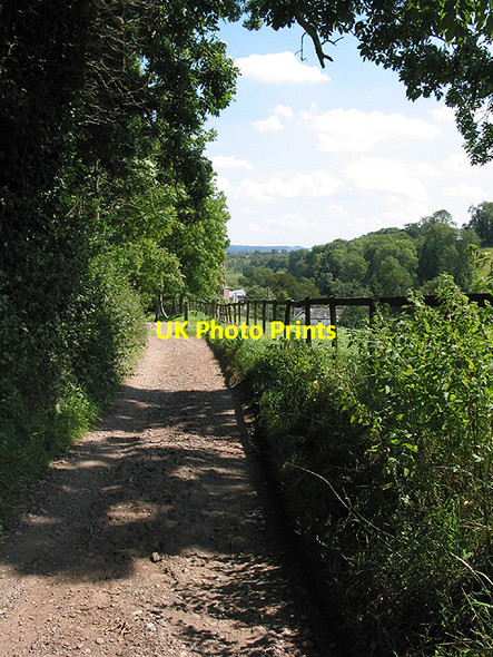 Photo 6"x4" Bridleway climbing out of Sellack Sellack c2007