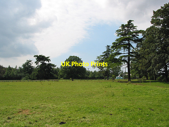 Photo 6"x4" Grazing Land nr Caradoc Farm Kynaston\/SO5427 c2007