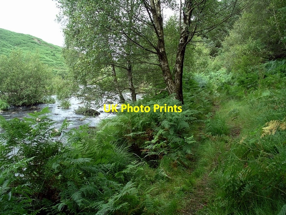 Photo 6"x4" River and path Mossdale\/NX6670 c2007