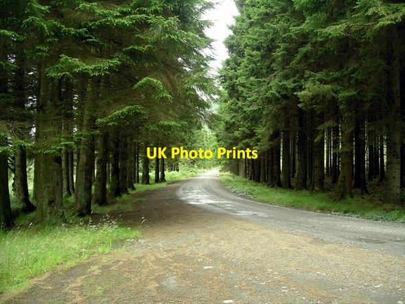 Photo 6"x4" The Raiders Road Otter Poo c2007