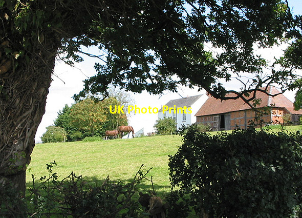 Photo 6"x4" Farm on Eastnor Hill Ledbury c2007
