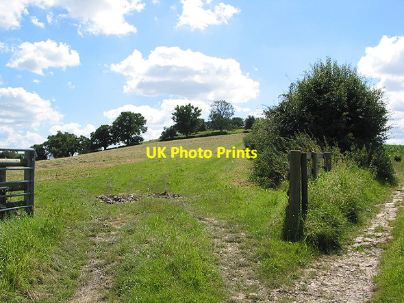 Photo 6"x4" Lower slopes of Eastnor Hill Ledbury c2007