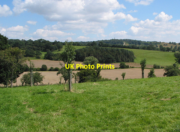 Photo 6"x4" Young fruit trees Ledbury c2007