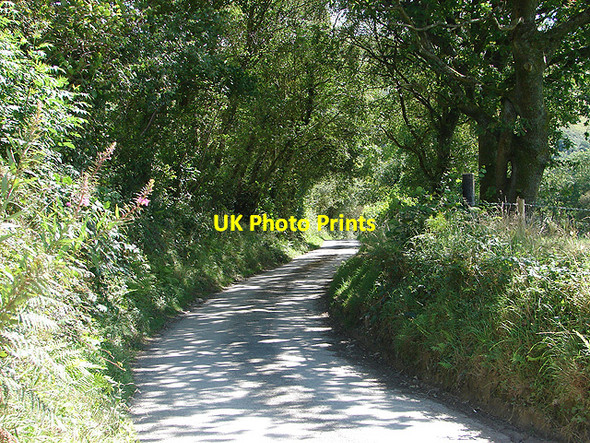 Photo 6"x4" Lane to Cwm-y-Ffynnon Pandy\/SH9004 c2007