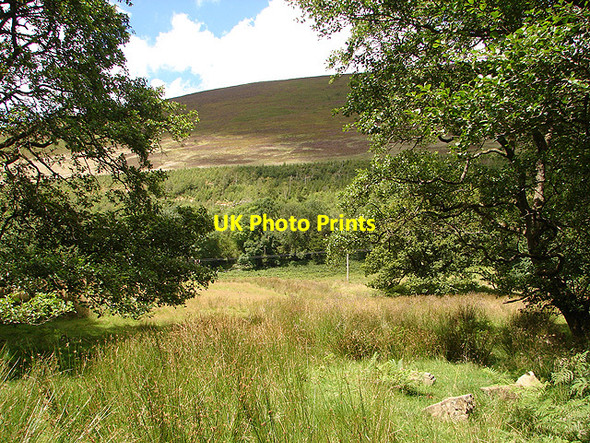 Photo 6"x4" Coed yr Allt and Mynydd Rhiw-Saeson Pandy\/SH9004 c2007