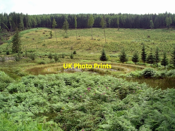 Photo 6"x4" The Path Black Water of Dee or River Dee\/NX5574 c2007