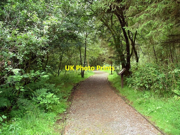 Photo 6"x4" Eskrigg nature reserve Lockerbie c2007