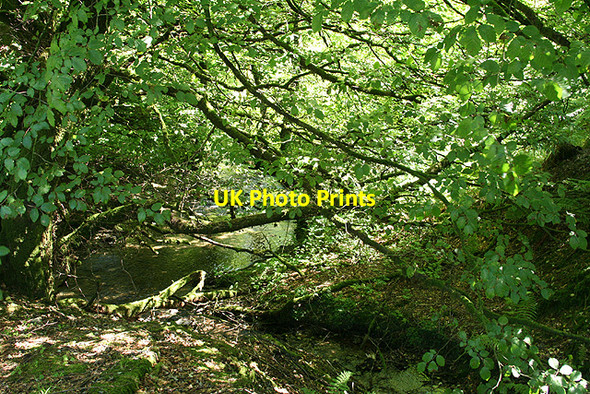 Photo 6"x4" Exmoor: Bale Water Simonsbath c2007