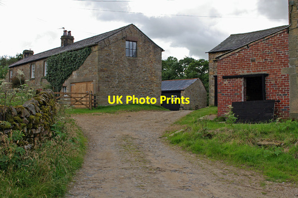 Photo 6"x4" Dinkling Green Fair Oak\/SD6446 c2007