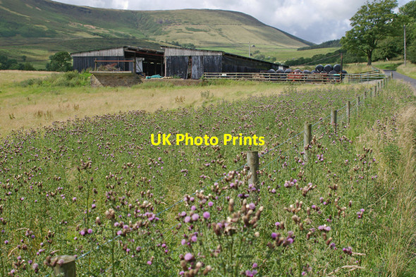 Photo 6"x4" Farm buildings near Dinkling Green Fair Oak\/SD6446 c2007