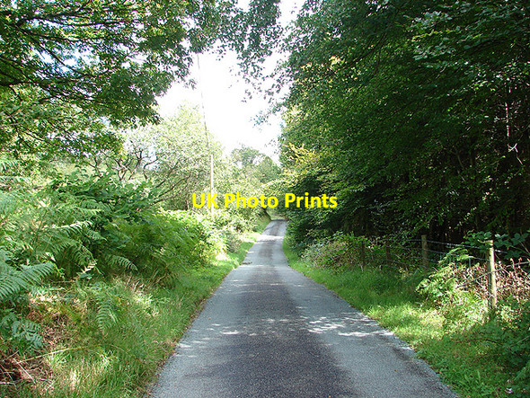 Photo 6"x4" Lane through Cwm Clegyrnant Pandy\/SH9004 c2007
