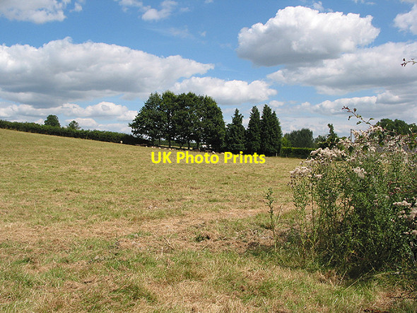 Photo 6"x4" Grazing land near Sellack Marsh Baysham c2007