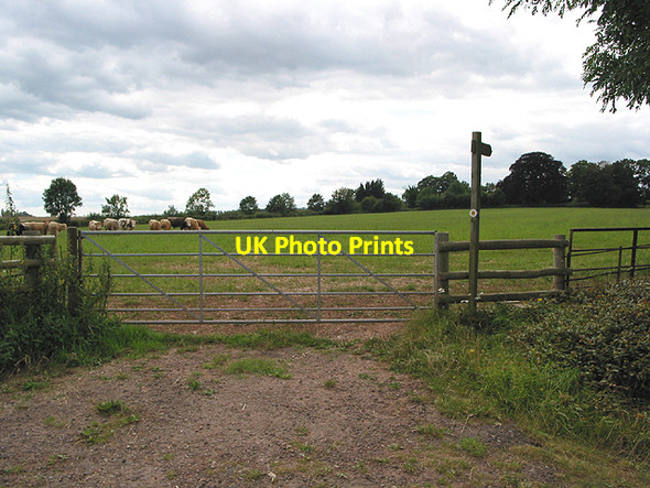 Photo 6"x4" Start of the footpath to Pict's Cross Baysham c2007