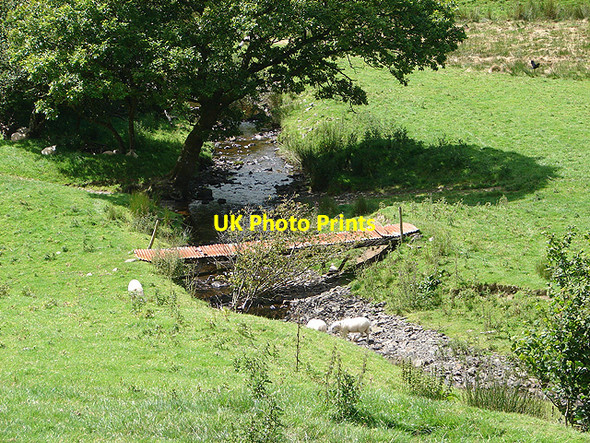 Photo 6"x4" Pasture in Cwm Nant Carfan Pandy\/SH9004 c2007