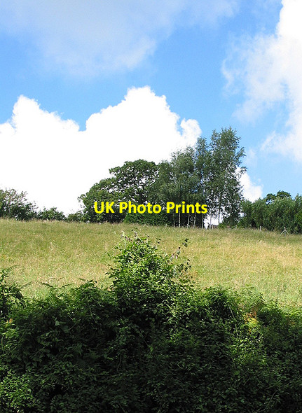 Photo 6"x4" Field near Aston Crews Aston Crews c2007