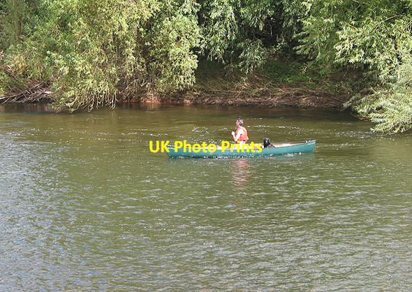Photo 6"x4" Dog paddle Lower Lydbrook c2007