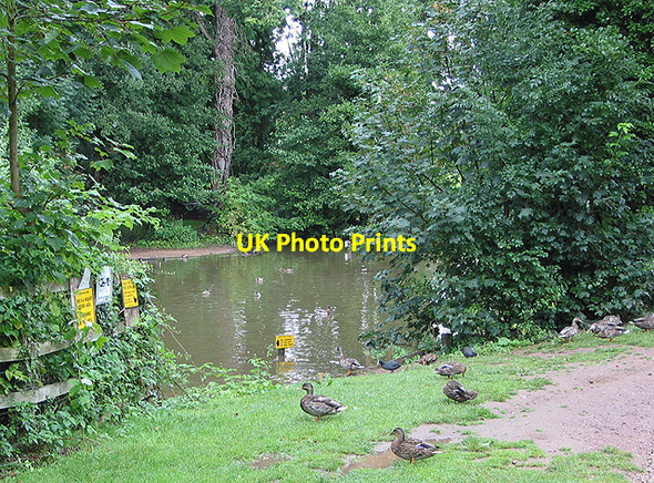Photo 6"x4" Newent Lake Newent c2007