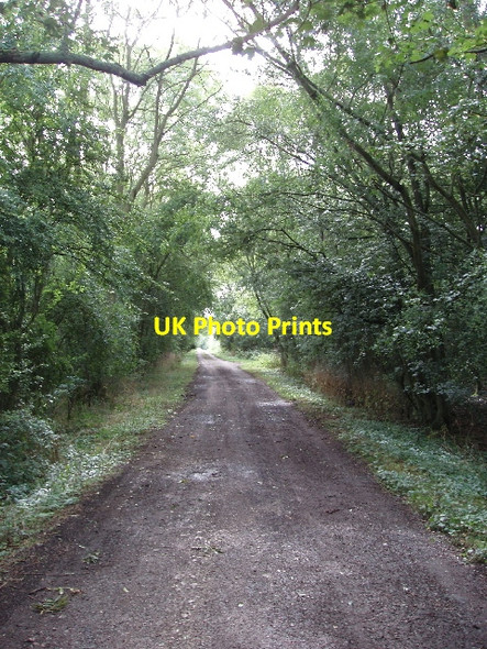 Photo 6"x4" Road by Bearshank Wood Wadenhoe c2007