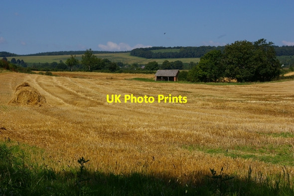 Photo 6"x4" Harvested field Bircher c2007