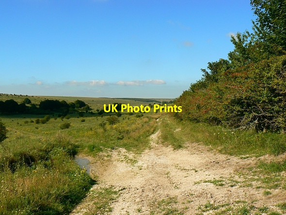 Photo 6"x4" Imber range, north of Imber, Salisbury Plain Imber c2007 P1