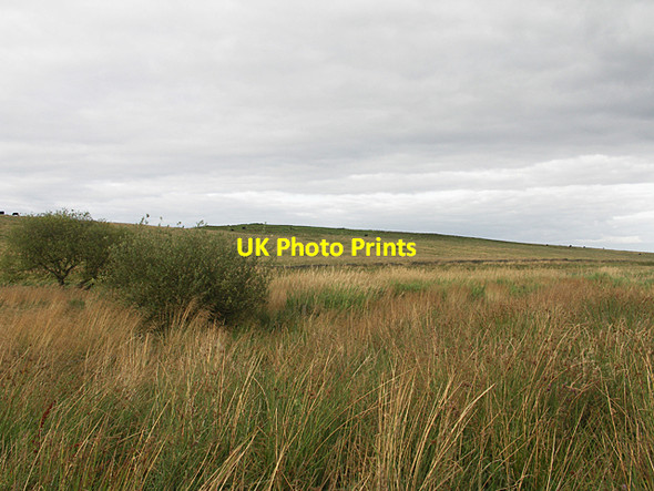 Photo 6"x4" Howden Hill from Cowey Sike Howden Hill\/NY8369 c2007