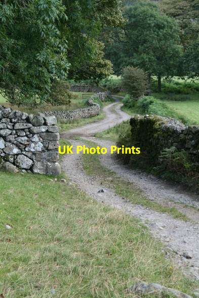 Photo 6"x4" Track to Low Place. Eskdale Green c2007