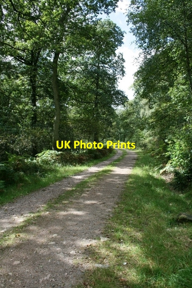 Photo 6"x4" Where Path Meets Road. Eskdale Green c2007