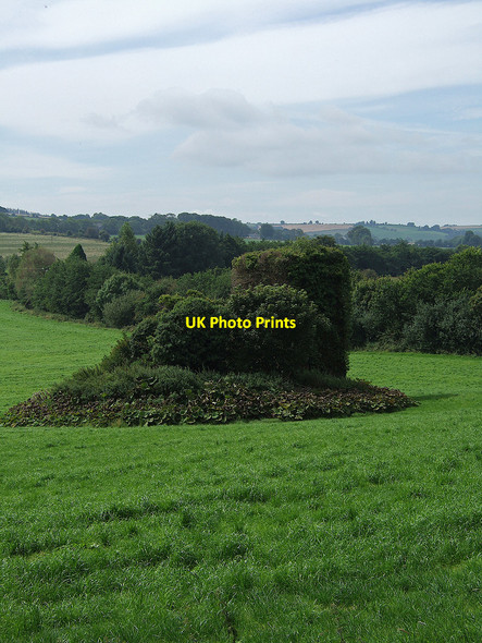 Photo 6"x4" Castles of Munster: Monteen, Cork Ballinascarty c2007