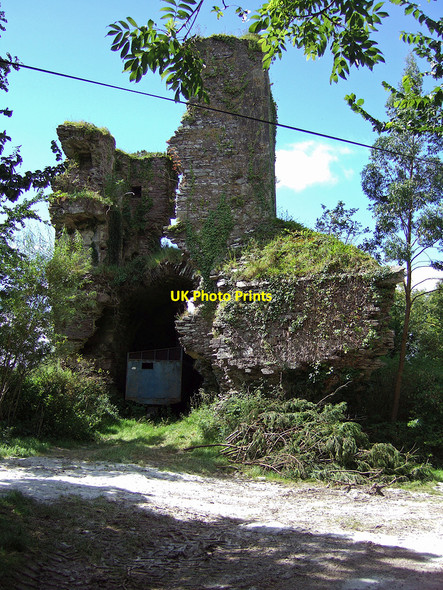 Photo 6"x4" Castles of Munster: Mashanaglass, Cork Carrigadrohid c2007