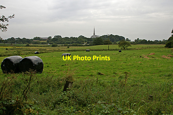 Photo 6"x4" Field by the Leeds Liverpool canal Chorley\/SD5817 c2007