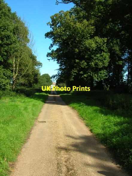 Photo 6"x4" Triumphal Arch New Holkham c2007