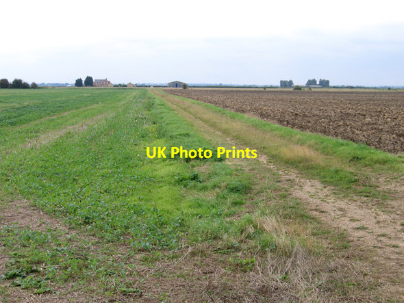 Photo 6"x4" Horseley Fen, Chatteris, Cambs Chatteris c2007