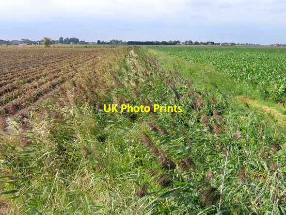 Photo 6"x4" Reedy drain through Copalder, Benwick, Cambs Benwick c2007