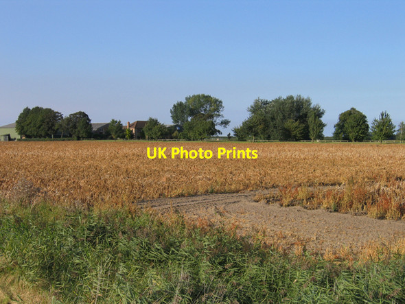 Photo 6"x4" Kingsland Farm, Whittlesey, Cambs Eldernell c2007