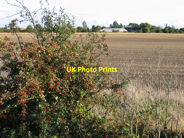 Photo 6"x4" Farmland, Knight's End, March, Cambs March\/TL4196 c2007