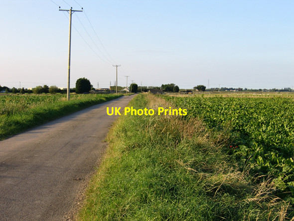 Photo 6"x4" Cross Road, Burrow Moor, March, Cambs March\/TL4196 c2007