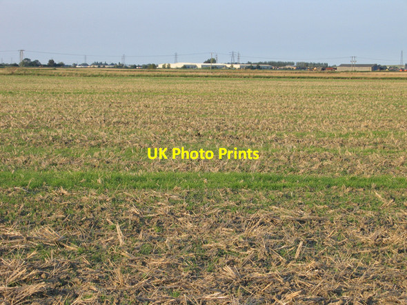 Photo 6"x4" Botany Bay, March, Cambs Knight's End c2007
