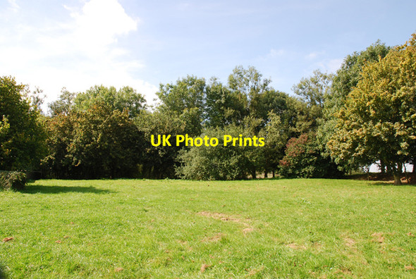 Photo 6"x4" Five Bridges picnic area Lower Nyland c2007 P1