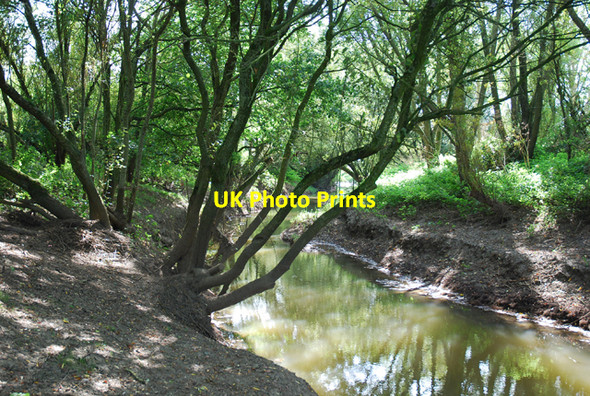 Photo 6"x4" River Cale at Five Bridges Lower Nyland c2007
