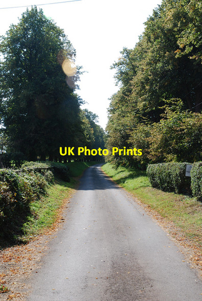 Photo 6"x4" Grand drive to Inwood Henstridge Ash c2007