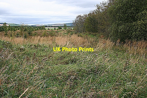 Photo 6"x4" Howe of Alford Kirkton of Tough c2007