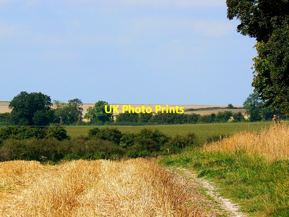 Photo 6"x4" Field margin, south of Broad Hinton Broad Hinton c2007