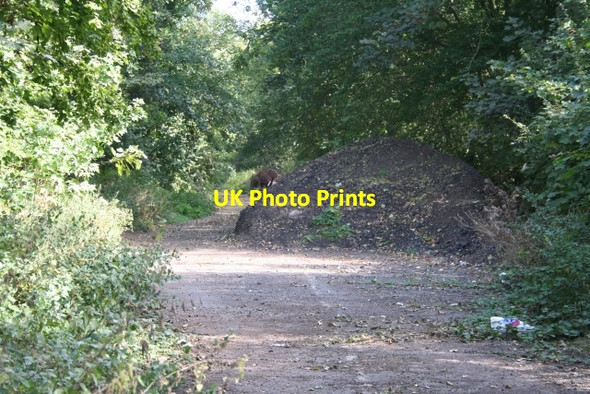 Photo 6"x4" The Old Spetchley Road Trotshill c2007