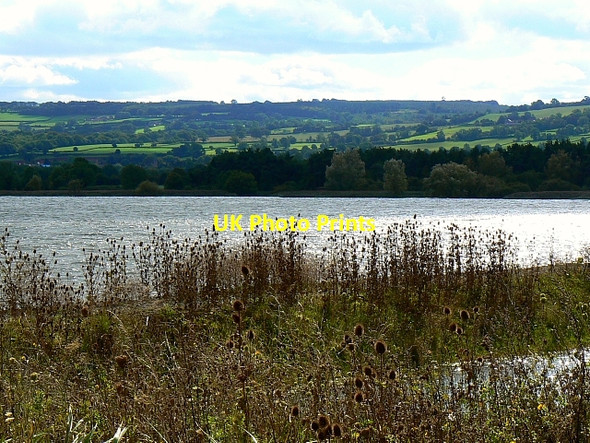 Photo 6"x4" A view south across Chew Valley Lake, Somerset Herons Green c2007